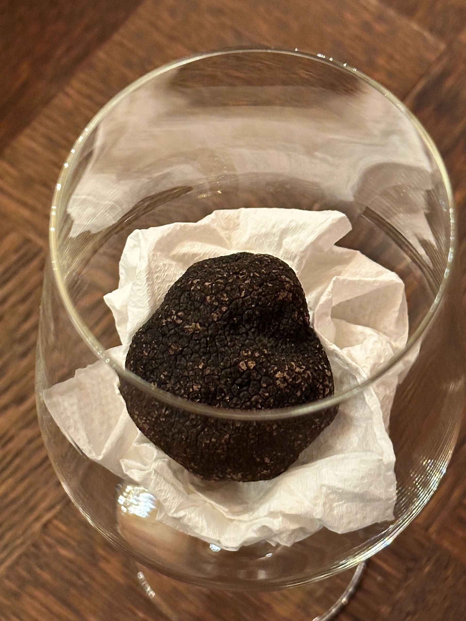 什麼是白松露 黑松露？