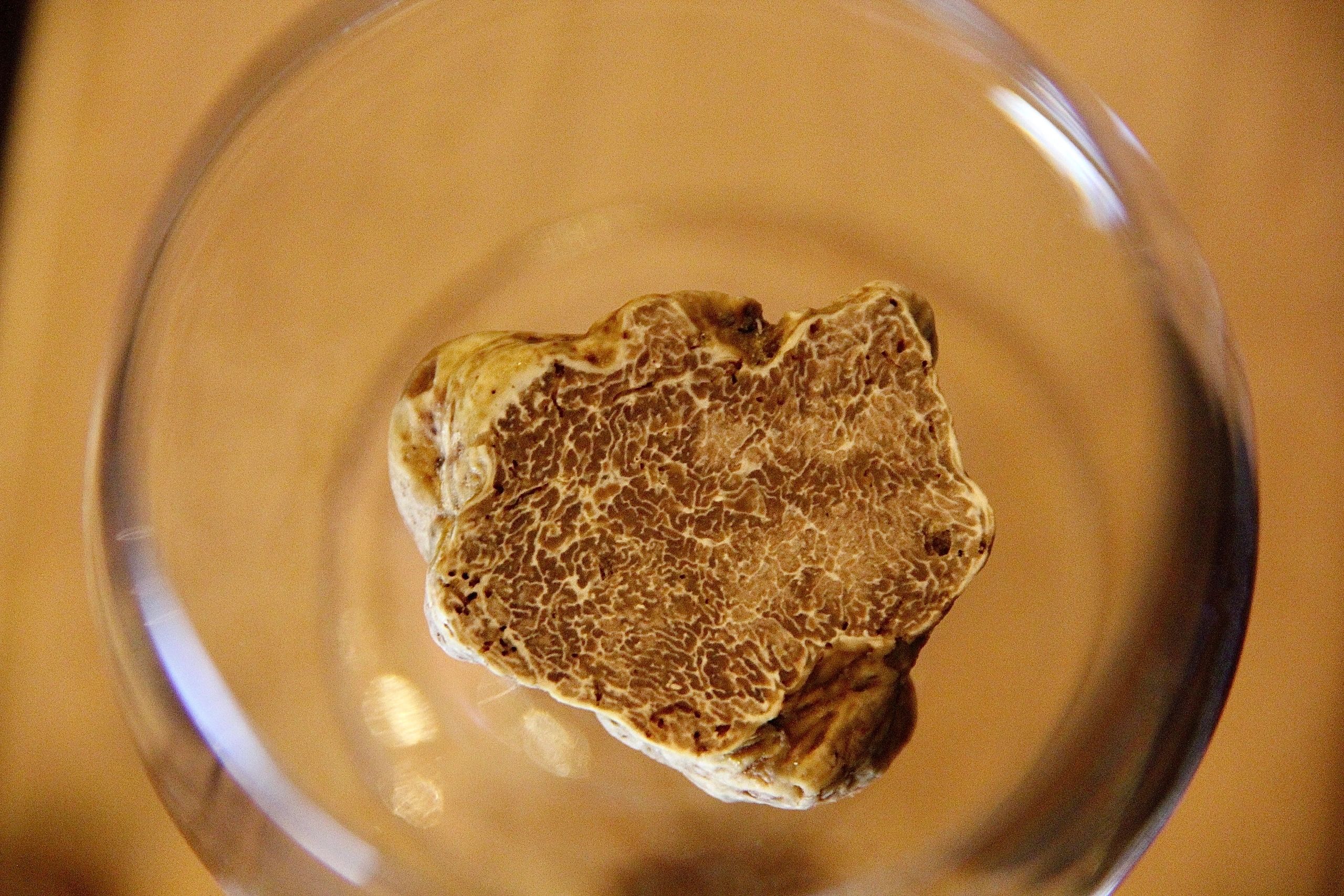 ALBA的白松露季又來臨了！今年的白松露特別稀有!!!享受美味白松露要即時。
