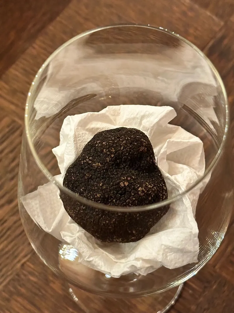 什麼是白松露 黑松露？ 法國松露料理 義大利松露料理 西班牙松露料理 桑卓主廚 無菜單料理高雄