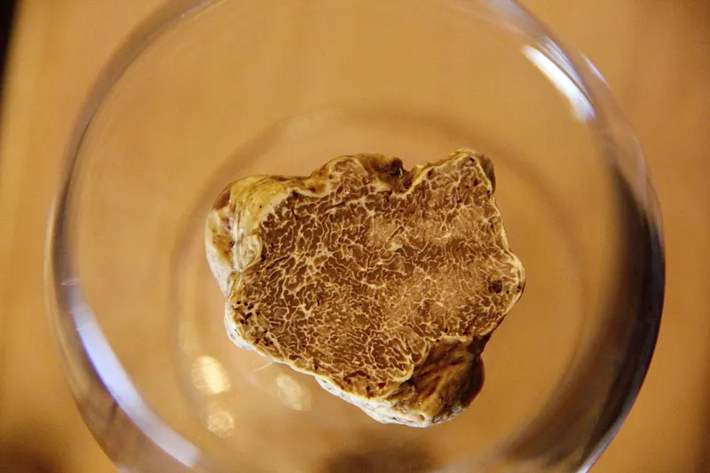 ALBA的白松露季又來臨了！今年的白松露特別稀有!!!享受美味白松露要即時。桑卓主廚 無菜單料理